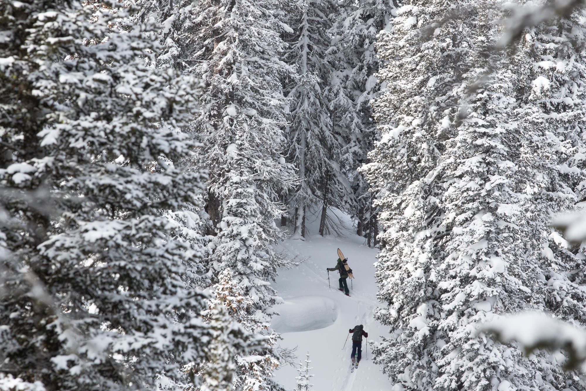 The Teton Bros Guide to Avalanche Safety for Backcountry Skiing and Riding