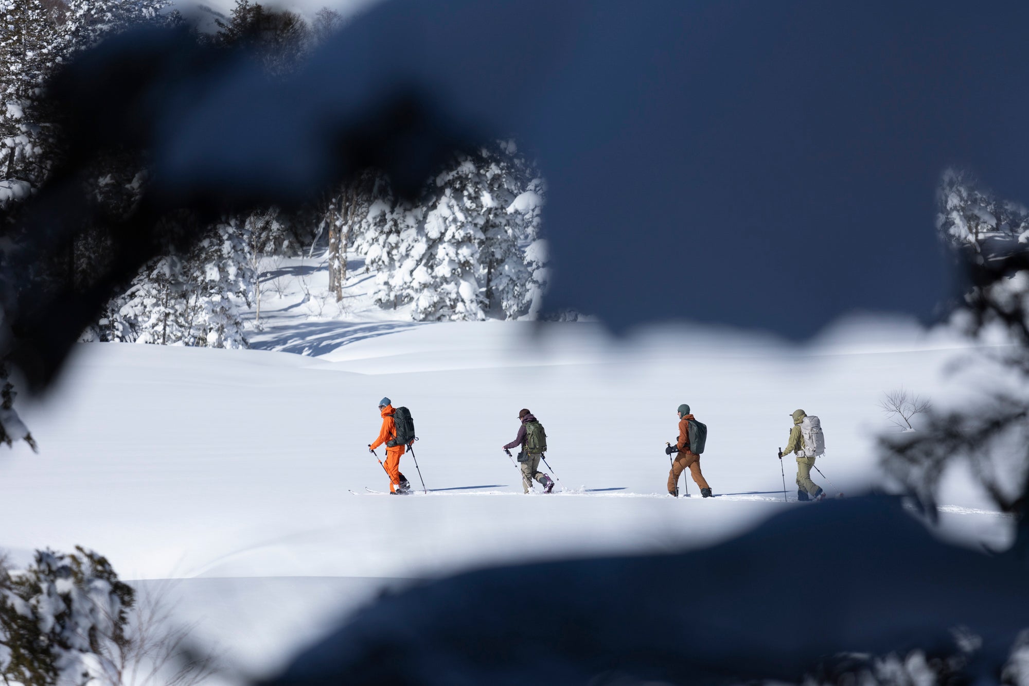 Backcountry Skiing